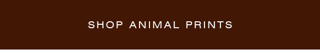 animal4